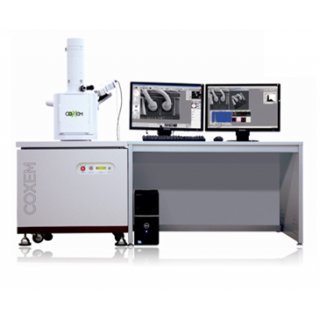CX-200 TA Scanning Electron Microscope