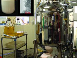 ORNL demonstrates large-scale technique to produce quantum dots