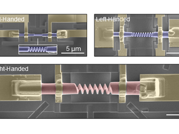 Sculpting complex, 3D nanostructures with a focused ion beam