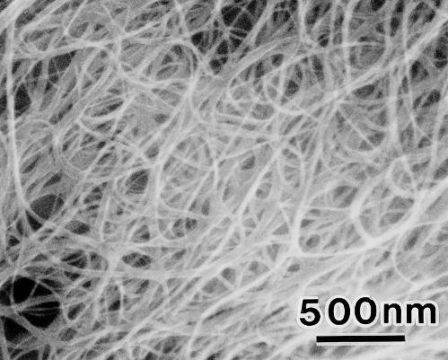 Single Wall Carbon Nanotubes (D1L110-P)