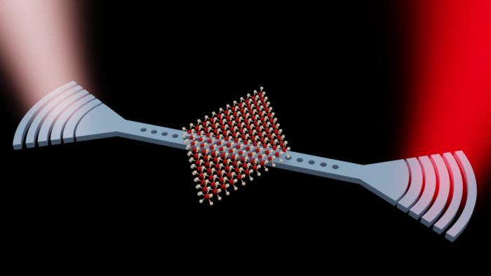 In this illustration, light is coupled into a nanoscale cavity and interacts with an atomically thin material, creating exciton-polaritons. These hybrid particles combine light’s speed with matter’s ability to interact, enabling optical signal switching. @Zhi Wang