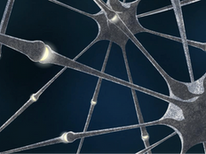 Physicists build 'electronic synapses' for neural networks