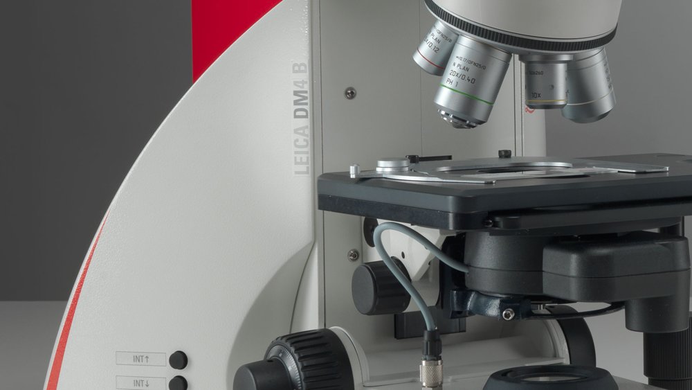 Upright Light Microscopes