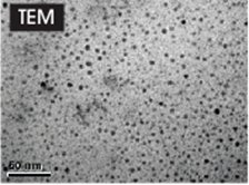 Iron (III) Oxide Nanoparticle