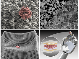 Mapping the future of metamaterials