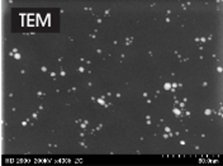 Silver Nanoparticle