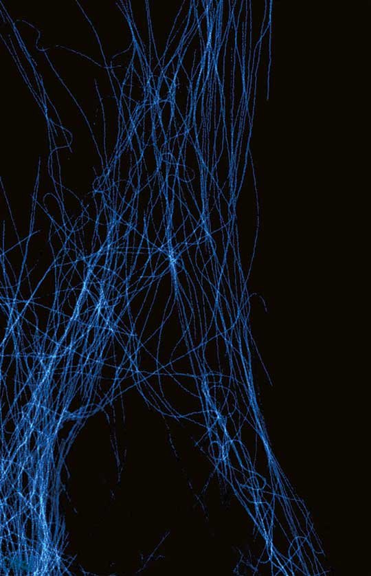 FLEXPOSURE Illumination