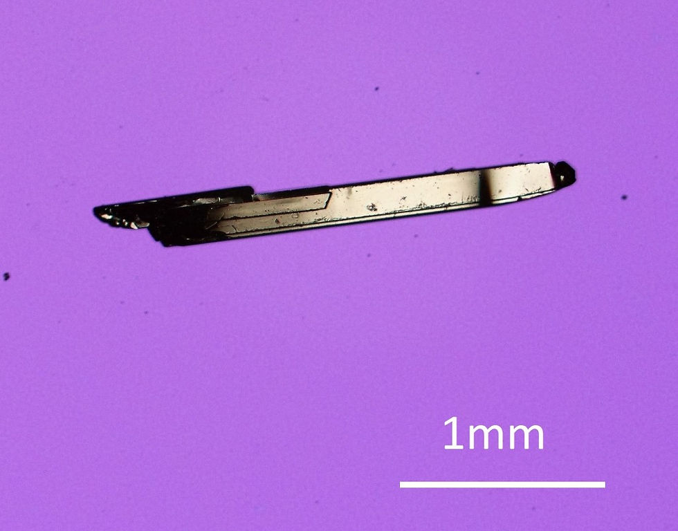 A crystal of tungsten ditelluride is shown. Image courtesy of Wudi Wang and N. Phuan Ong, Princeton University.