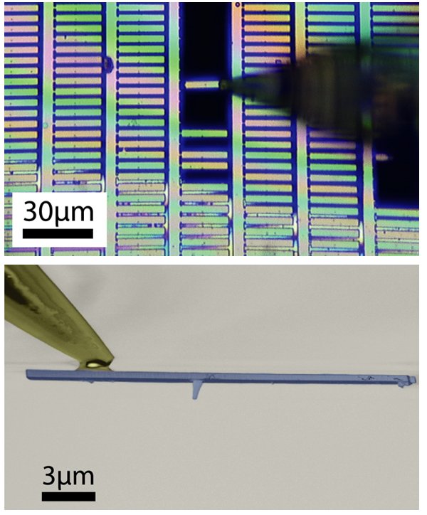 Qnami Quantilevers