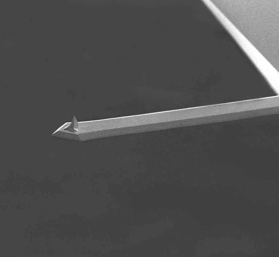 HQ:NSC18/Cr-Au BS Gold Coated Soft Tapping Mode AFM Probe