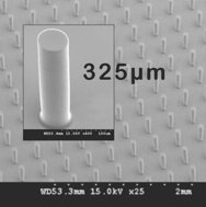 PDM-5025
