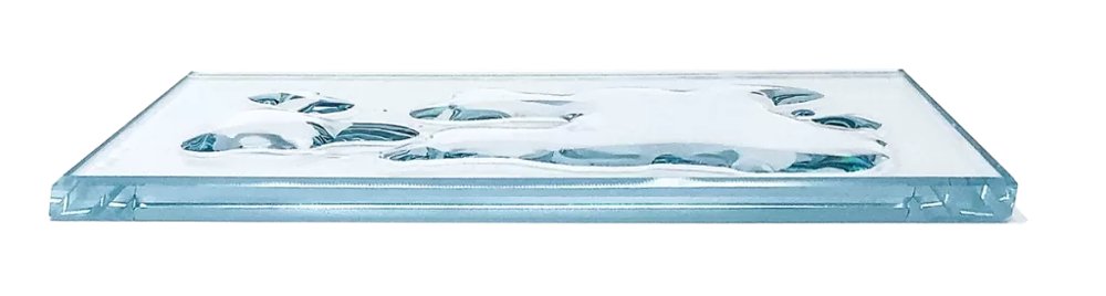 Diamon-Fusion® Glass Railing Coating