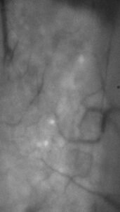 NanoScan OP800 Objective Positioner/Scanner with 800 µm range