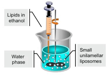 Lipid Nanoparticle Pack