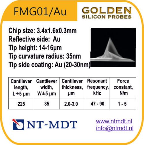 FMG01/Au