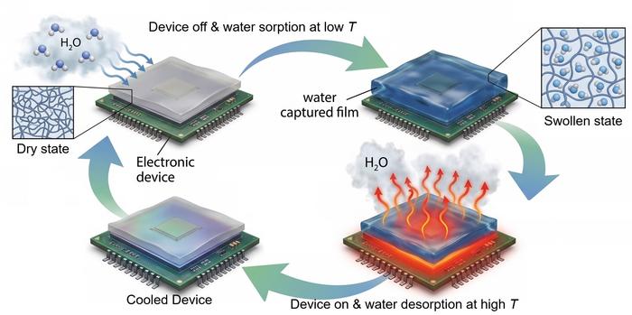 Principle of Operation of Moisture-Absorbing Evaporative Cooling Materials. Credit: DGIST (Daegu Gyeongbuk Institute of Science and Technology)