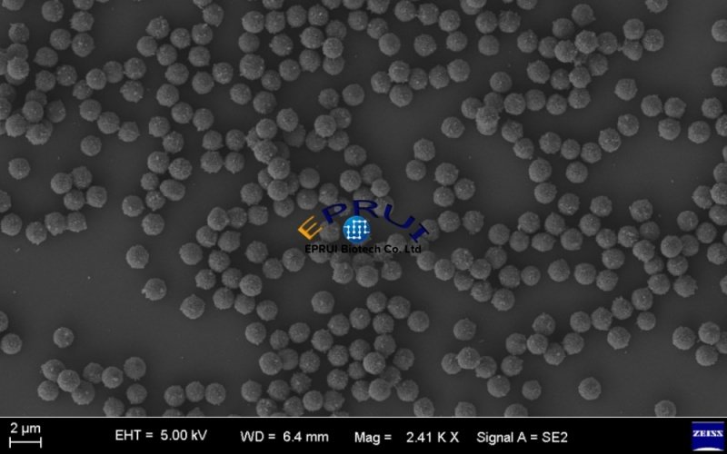 Streptavidin Magnetic Nanoparticles