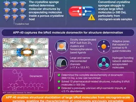 A crystalline sponge for revealing structures of large “beyond rule of 5” molecules