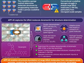 A crystalline sponge for revealing structures of large “beyond rule of 5” molecules