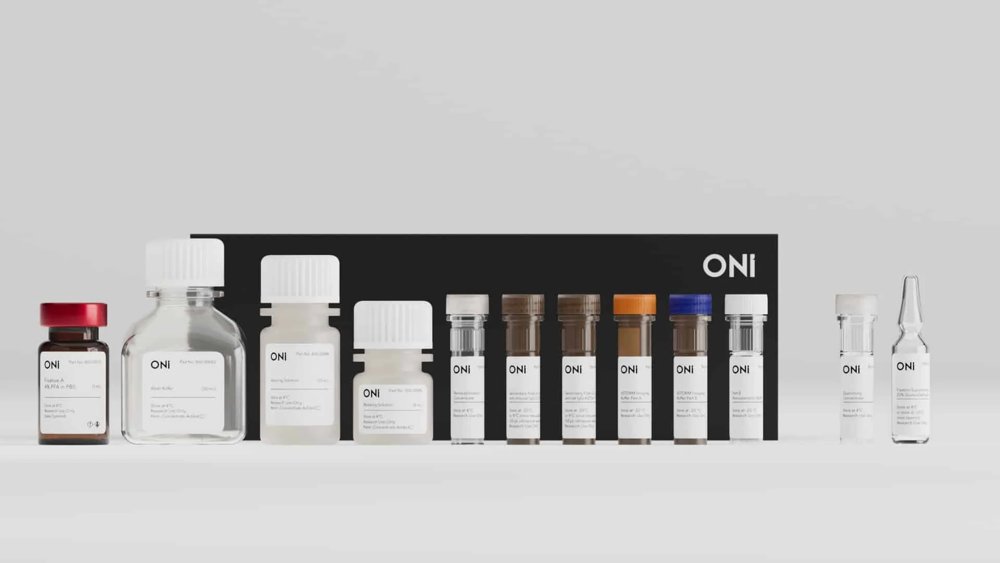 Discovery Kit: dSTORM in cells with Strong Fixative 2