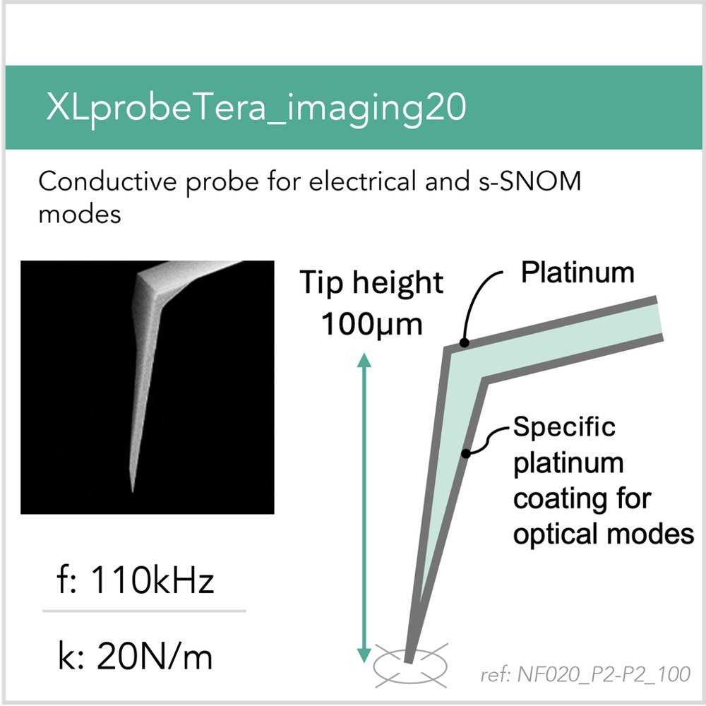 NF020_P2-P2_100 Lprobe nano-FTIR AFM probe (XLprobeTera_imaging20 P2-P2)