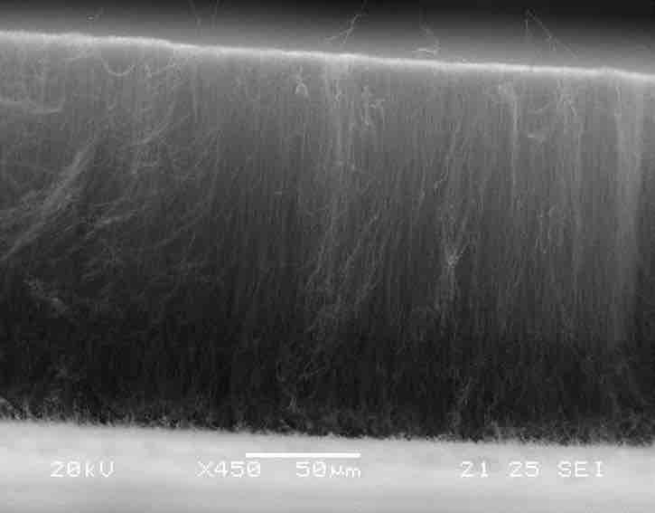 Vertically Aligned Carbon Nanotube (CNT) Arrays