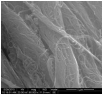 Single Walled Carbon Nanotubes 95