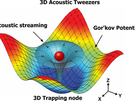 Acoustic tweezers move cells in three dimensions, build structures