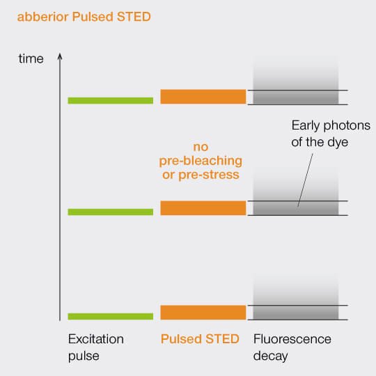 Pulsed STED @ 775 nm