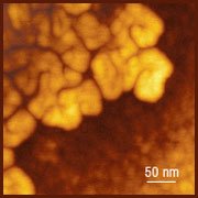Hi'Res-C AFM tips