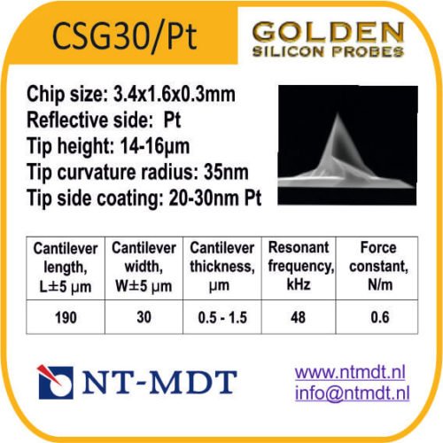 CSG30/Pt