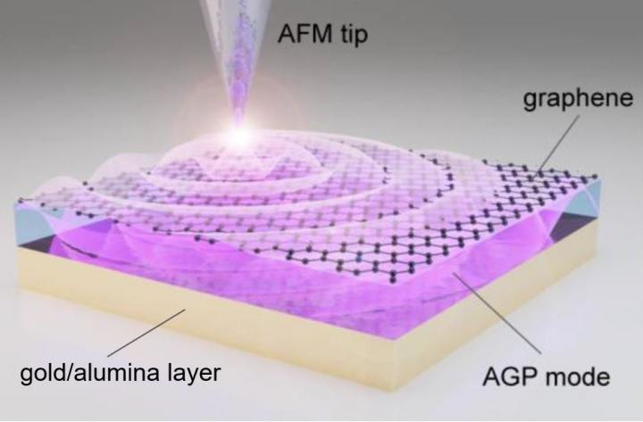 Laser-illuminated nano-tip excites the acoustic graphene plasmon in the layer between the graphene and the gold/alumina. @ Professor Min Seok Jang / KAIST