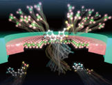 New smart sensor identifies present molecules by remembering the past