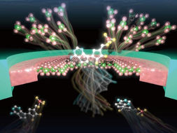New smart sensor identifies present molecules by remembering the past