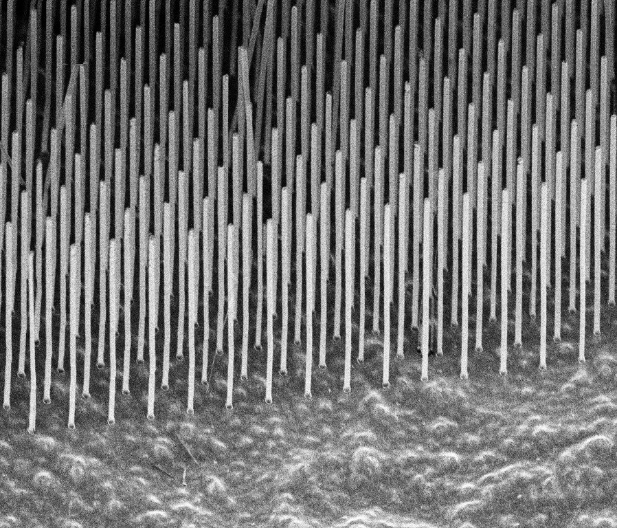 Nanowires
