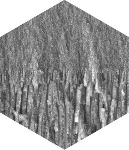 Anisotropic Nanoporous Alumina Membranes