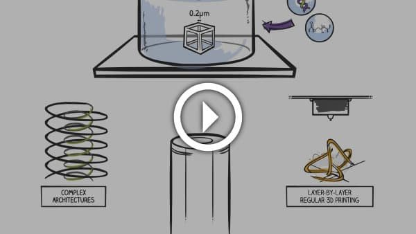 Microlight3D microfabrication software