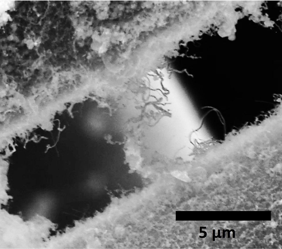 Silicon carbide nanotubes attached to separate silicon carbide fibers, used by NASA, entangle each other in this electron microscope image. The material created at Rice University is intended for a ceramic composite that would make rocket engines stronger, lighter and better able to withstand extreme heat. @ Ajayan Research Group/Rice University