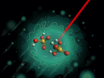 Understanding nature’s proton highway