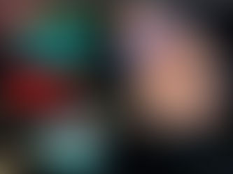 Nerve Wrapping Nanofiber Mesh Promoting Regeneration