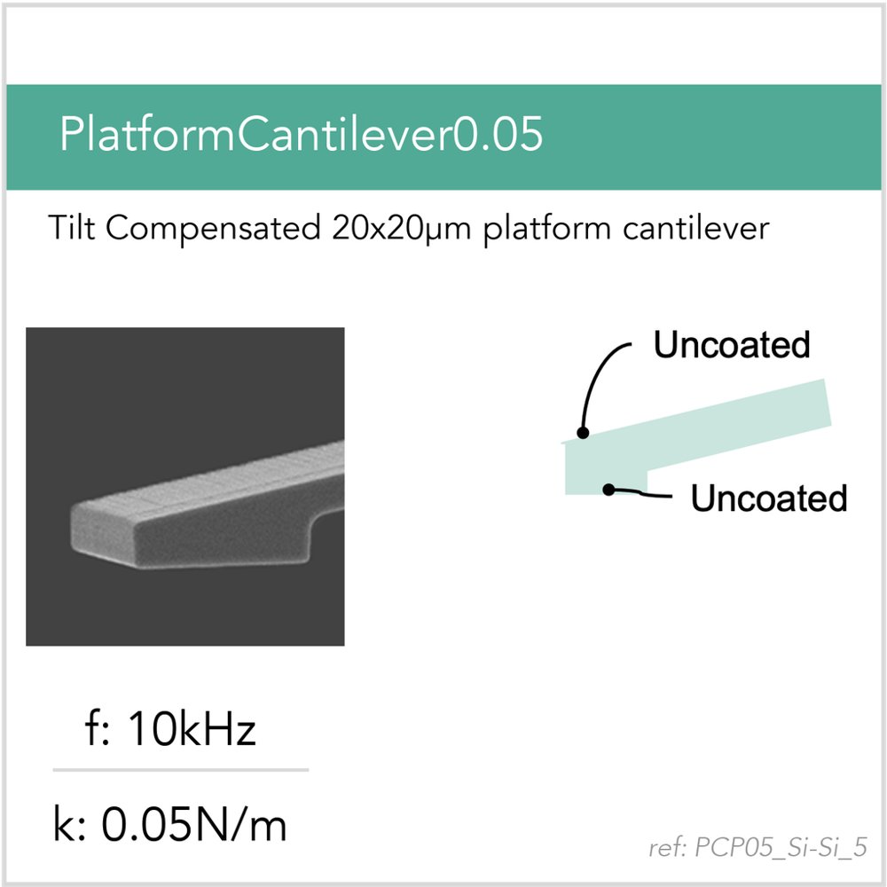 PlatformCantilever0.05 Si-Si (PCP05_Si-Si_5)