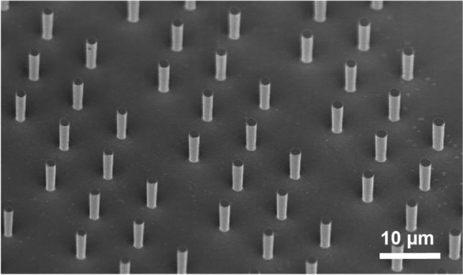 A few micrometer silicon columns under the electron microscope: Such structures make the material more elastic. (Photograph: Laszlo Pethö / Empa)