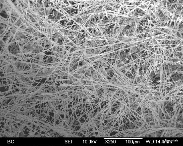 Nickel Nanowires S200 (200nm×100um)