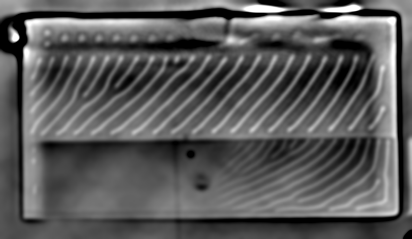This real-space ptychographic phase image of magnetic textures measured at an external magnetic field perpendicular to the sample. It shows a stripe pattern and skyrmions (in the very top part of the sample). © HZB