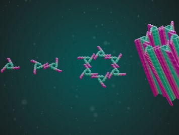 Molecules Build a Honeycomb