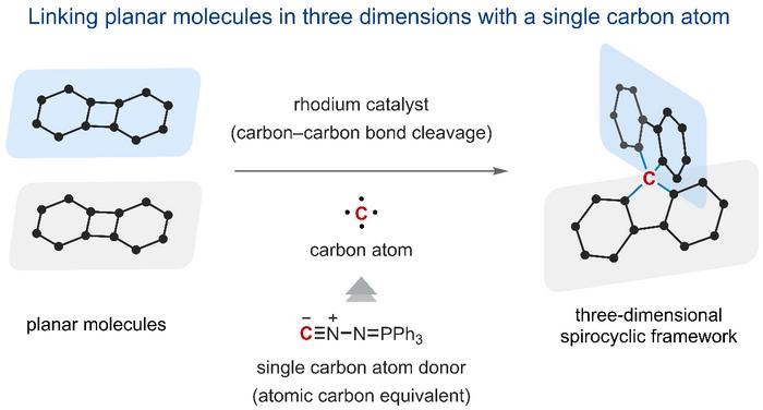 Conceptual illustration of carbon-atom transfer for spirofusion. A single carbon atom supplied by PINC serves as a connecting point to join two planar molecules into a three-dimensional spirocyclic framework through rhodium-catalyzed C–C bond cleavage. Credit: The University of Osaka