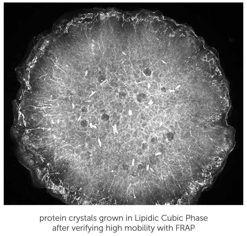 FRAP - Prescreen LCP Conditions