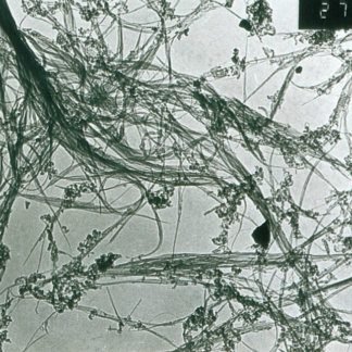 COOH Functionalized Single Walled-Double Walled Carbon Nanotubes