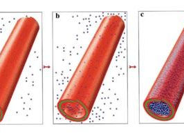 Halloysite: Finally a promising natural nanomaterial?