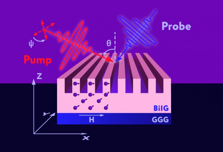 Schematic representation of spin wave excitation by optical pulses. The laser pump pulse generates magnons by locally disrupting the ordering of spins -- shown as violet arrows -- in bismuth iron garnet (BiIG). A probe pulse is then used to recover information about the excited magnons. GGG denotes gadolinium gallium garnet, which serves as the substrate. @ Alexander Chernov et al./Nano Letters